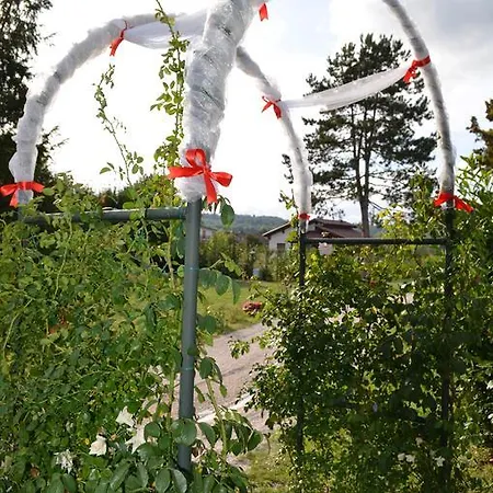 Palentina Bed and Breakfast