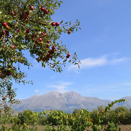 Palentina * Scurcola Marsicana